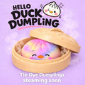 Hello Duck Dumpling | Tie-Dye